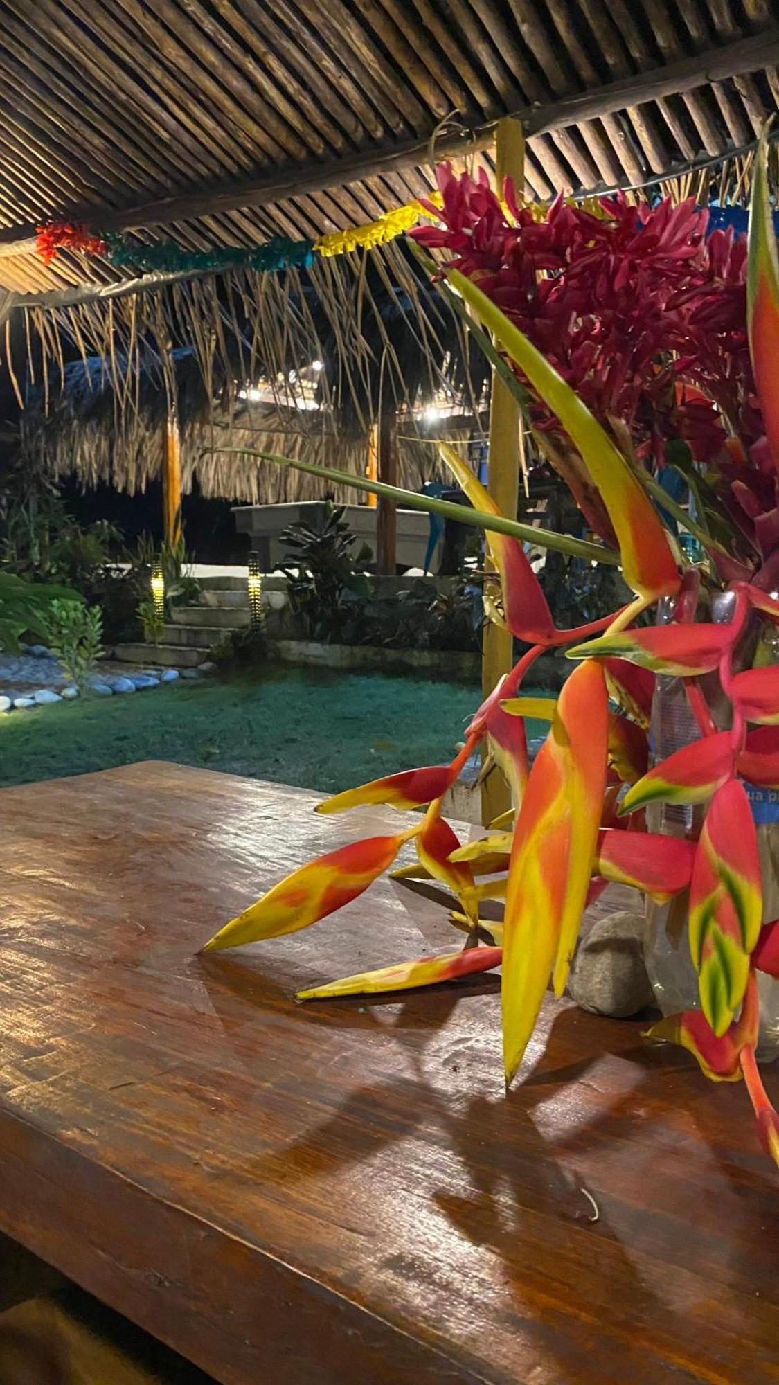 Wayanay Tayrona Eco Hostel El Zaino Extérieur photo