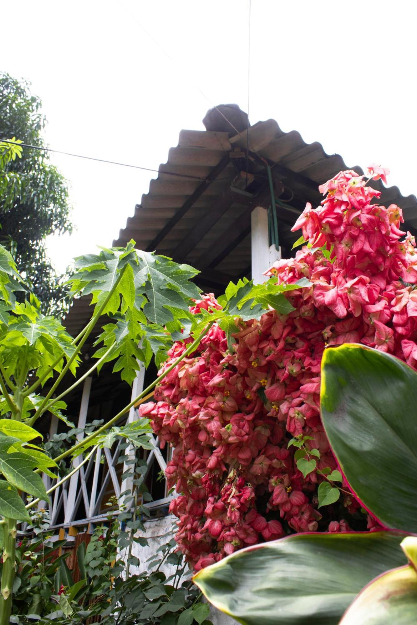 Wayanay Tayrona Eco Hostel El Zaino Extérieur photo