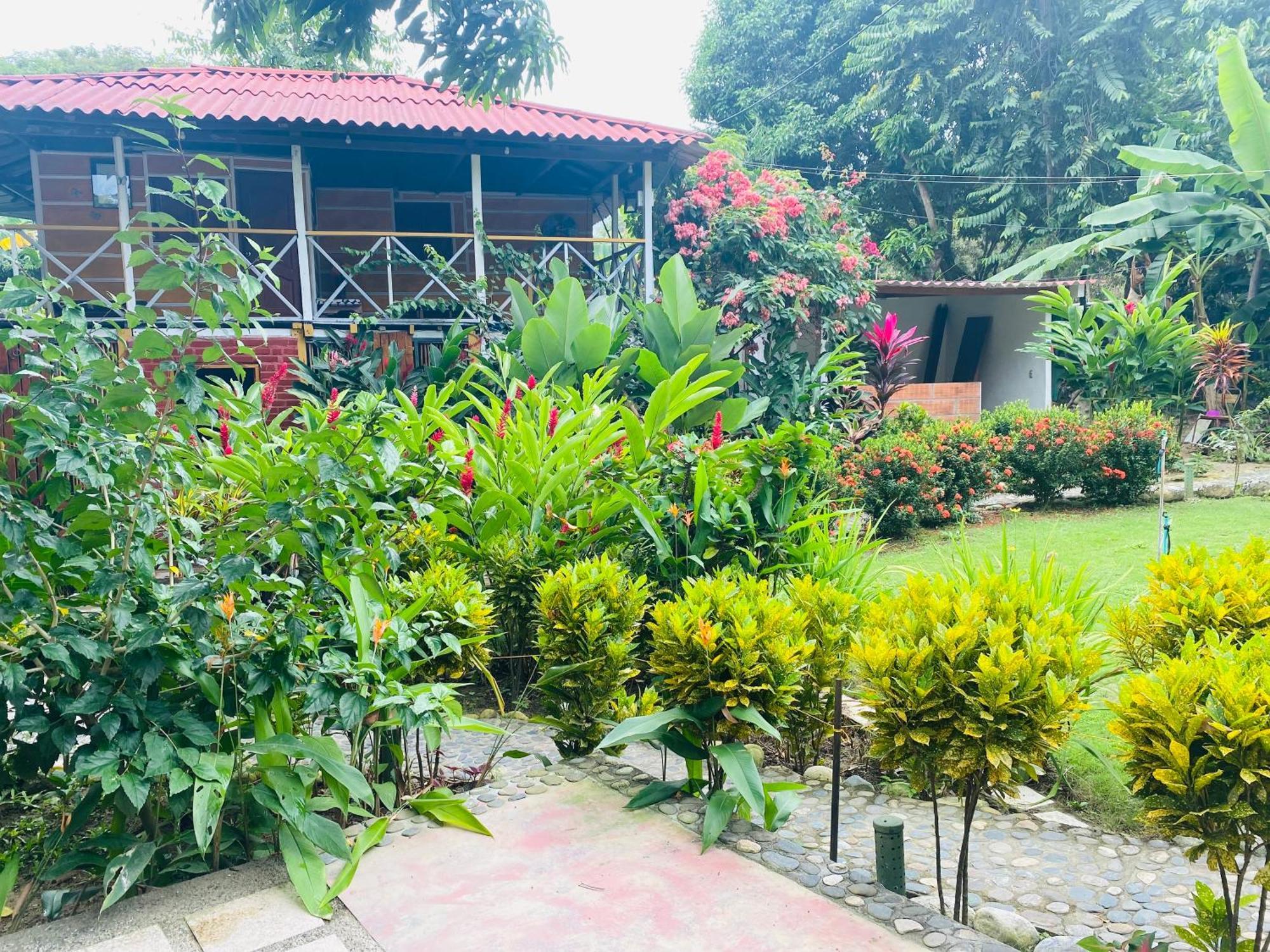 Wayanay Tayrona Eco Hostel El Zaino Extérieur photo
