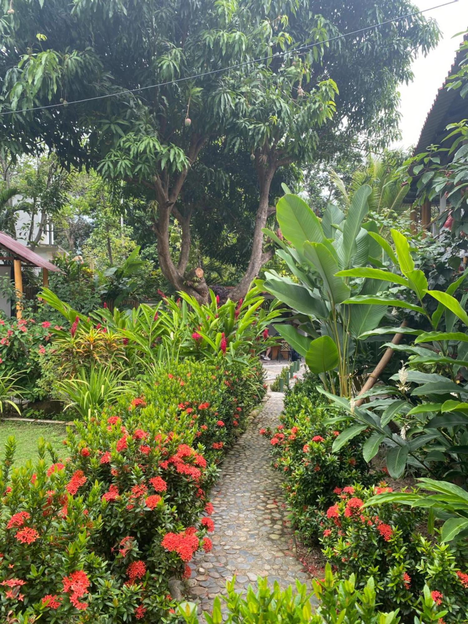 Wayanay Tayrona Eco Hostel El Zaino Extérieur photo